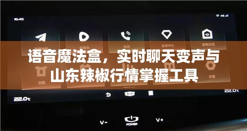 语音魔法盒，实时聊天变声与山东辣椒行情掌握工具