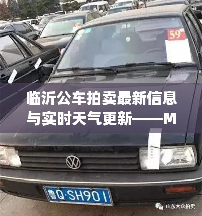 临沂公车拍卖最新信息与实时天气更新——MyDock时刻关注身边动态