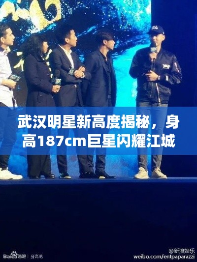 指手画脚 第2页