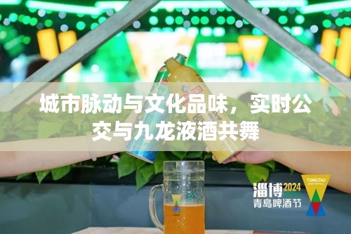 城市脉动与文化品味，实时公交与九龙液酒共舞