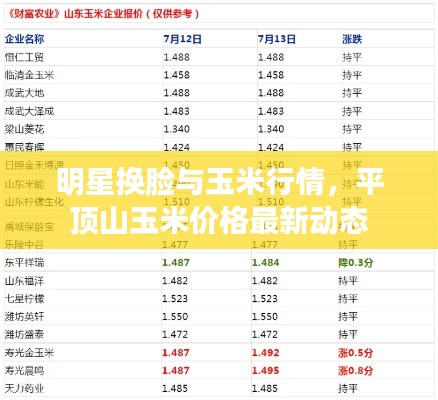 明星换脸与玉米行情,平顶山玉米价格最新动态