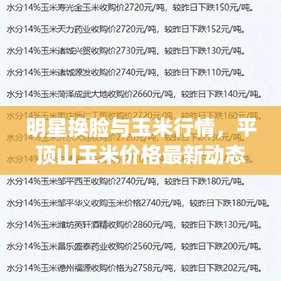 明星换脸与玉米行情,平顶山玉米价格最新动态