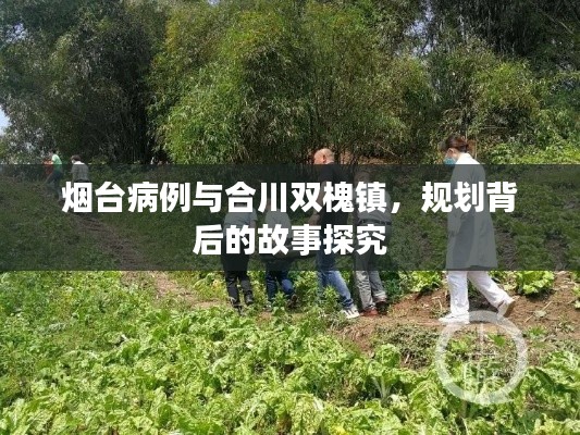 烟台病例与合川双槐镇,规划背后的故事探究