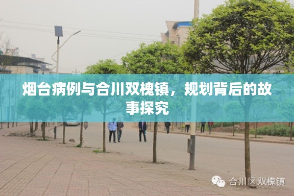 烟台病例与合川双槐镇,规划背后的故事探究