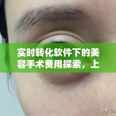 实时转化软件下的美容手术费用探索，上海九院双眼皮手术价格揭秘
