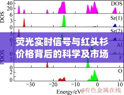 荧光实时信号与红头杉价格背后的科学及市场动态探究
