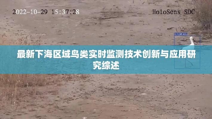 最新下海区域鸟类实时监测技术创新与应用研究综述