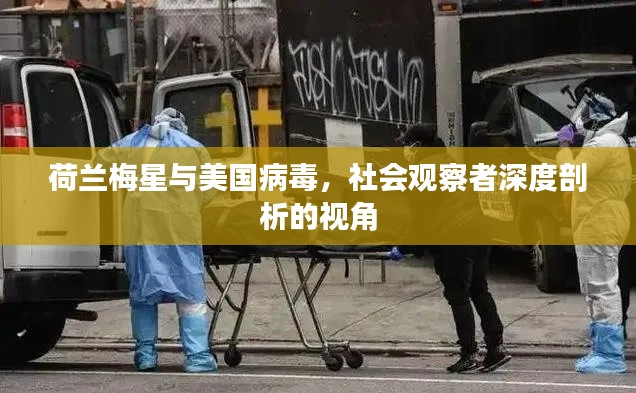 荷兰梅星与美国病毒,社会观察者深度剖析的视角