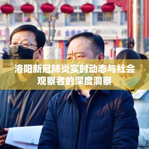 洛阳新冠肺炎实时动态与社会观察者的深度洞察