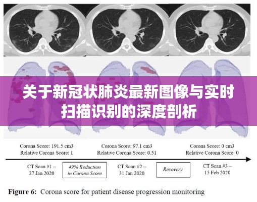 关于新冠状肺炎最新图像与实时扫描识别的深度剖析