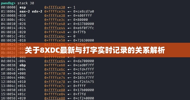 关于8XDC最新与打字实时记录的关系解析