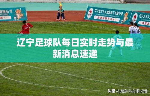 辽宁足球队每日实时走势与最新消息速递