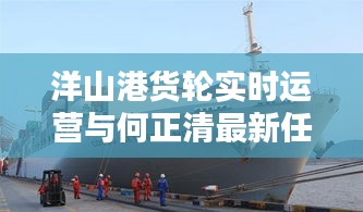 洋山港货轮实时运营与何正清最新任命深度解析
