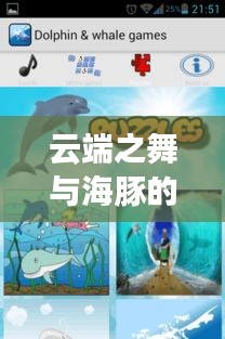 云端之舞与海豚的秘密,手游攀爬加速器之旅揭秘