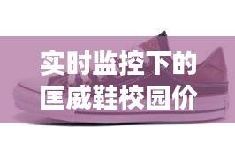 实时监控下的匡威鞋校园价格观察与洞察