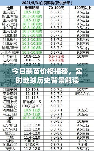 今日鹅苗价格揭秘，实时地球历史背景解读