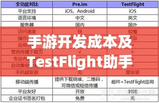 手游开发成本及TestFlight助手激活码探讨，深度解析开发成本与效率提升策略