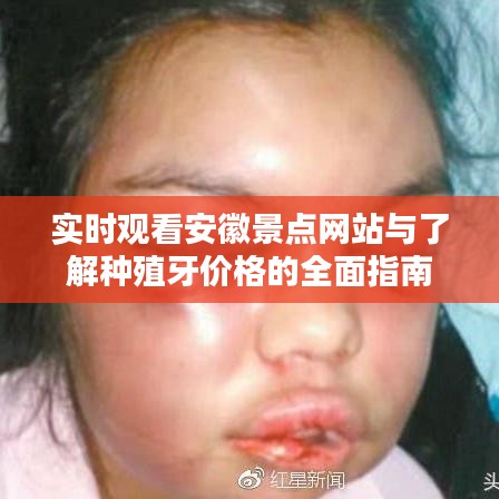 实时观看安徽景点网站与了解种殖牙价格的全面指南