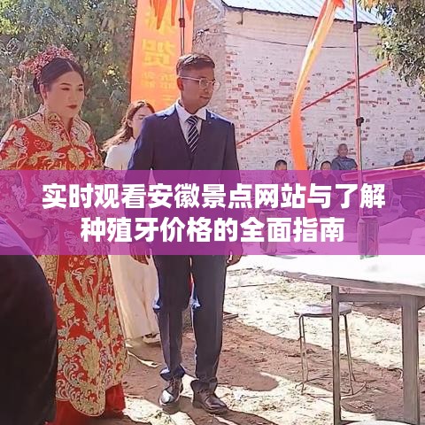 实时观看安徽景点网站与了解种殖牙价格的全面指南