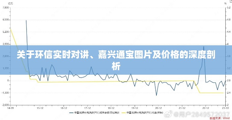 关于环信实时对讲、嘉兴通宝图片及价格的深度剖析