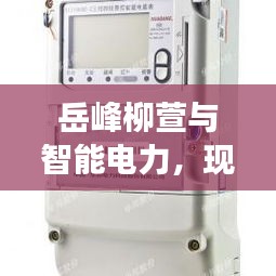 岳峰柳萱与智能电力,现代查电表应用与发展概览