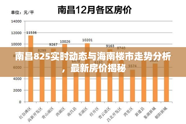 南昌825实时动态与海南楼市走势分析，最新房价揭秘