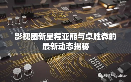 影视圈新星程亚丽与卓胜微的最新动态揭秘