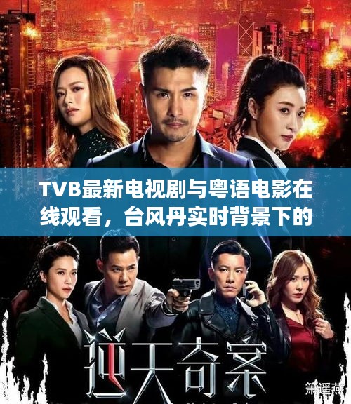 TVB最新电视剧与粤语电影在线观看,台风丹实时背景下的文化娱乐现象解读