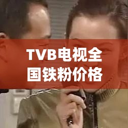 TVB电视全国铁粉价格最新行情实时解析