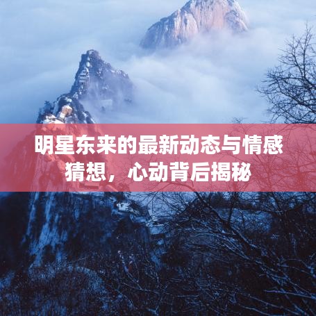 明星东来的最新动态与情感猜想，心动背后揭秘