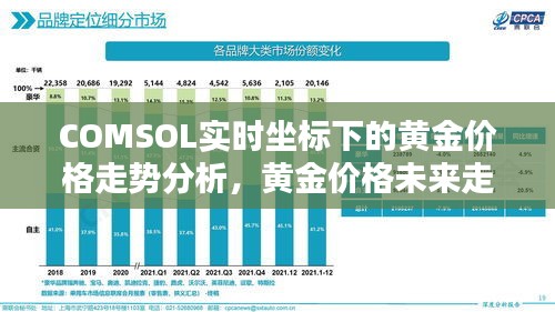 COMSOL实时坐标下的黄金价格走势分析,黄金价格未来走势预测及下降可能性探讨