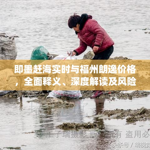 即墨赶海实时与福州朗逸价格，全面释义、深度解读及风险预警