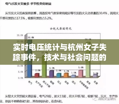 实时电压统计与杭州女子失踪事件,技术与社会问题的探究