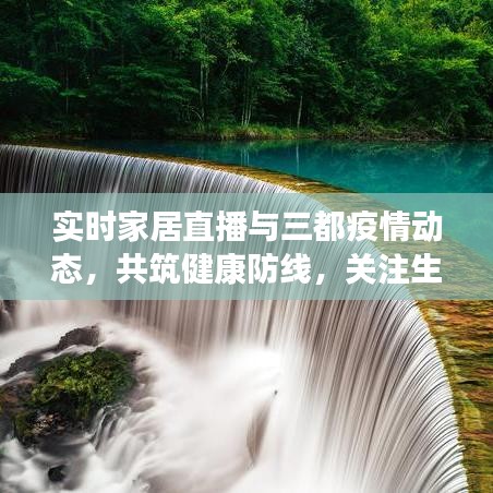 实时家居直播与三都疫情动态,共筑健康防线,关注生活细节