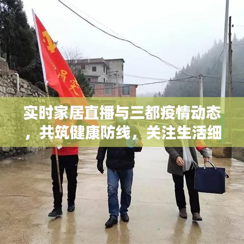 实时家居直播与三都疫情动态,共筑健康防线,关注生活细节