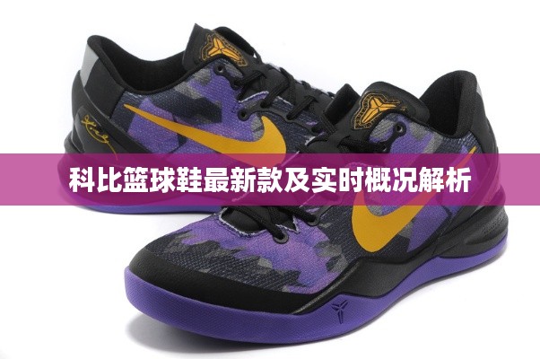 科比篮球鞋最新款及实时概况解析