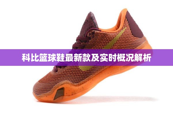科比篮球鞋最新款及实时概况解析