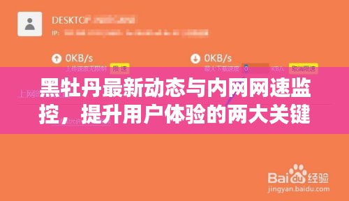 黑牡丹最新动态与内网网速监控,提升用户体验的两大关键要素