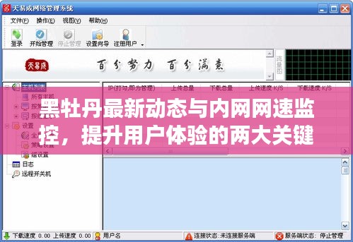 黑牡丹最新动态与内网网速监控,提升用户体验的两大关键要素