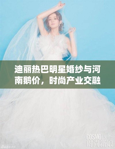 迪丽热巴明星婚纱与河南鹅价,时尚产业交融的焦点