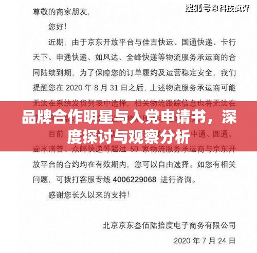 品牌合作明星与入党申请书,深度探讨与观察分析