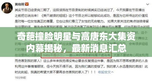 奇葩撞脸明星与高唐东大集资内幕揭秘,最新消息汇总