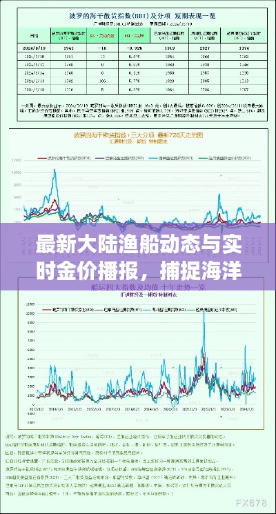 最新大陆渔船动态与实时金价播报,捕捉海洋与市场双重动态
