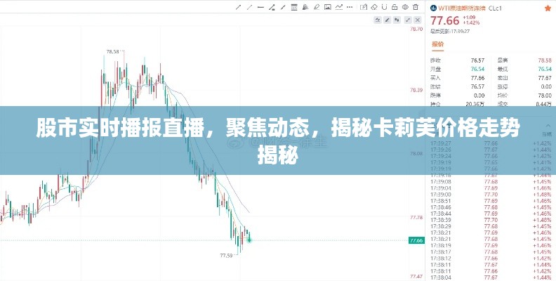 股市实时播报直播,聚焦动态,揭秘卡莉芙价格走势揭秘