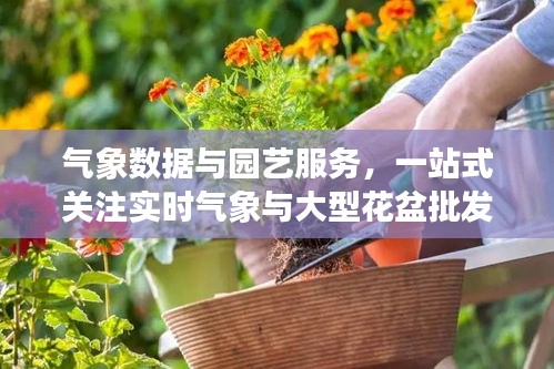 气象数据与园艺服务,一站式关注实时气象与大型花盆批发价格