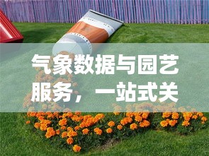 气象数据与园艺服务,一站式关注实时气象与大型花盆批发价格