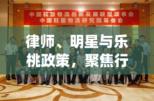 律师、明星与乐桃政策，聚焦行业变革新动态