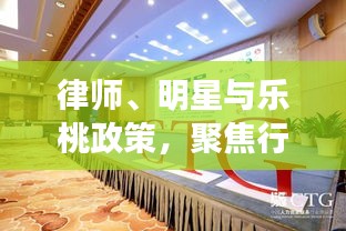 律师、明星与乐桃政策,聚焦行业变革新动态