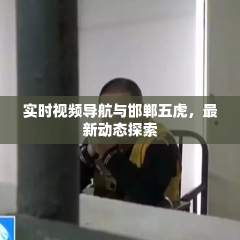 实时视频导航与邯郸五虎,最新动态探索