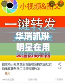 华瑞凯琳明星在用同最新专利查询,全面解析与虚假宣传警惕